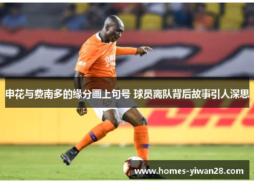 申花与费南多的缘分画上句号 球员离队背后故事引人深思
