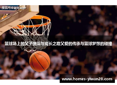 篮球场上的父子情深与成长之路父爱的传承与篮球梦想的碰撞