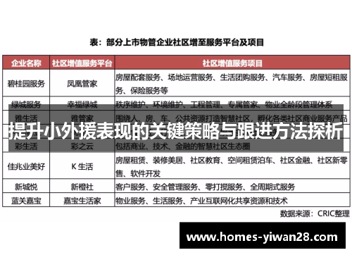 提升小外援表现的关键策略与跟进方法探析