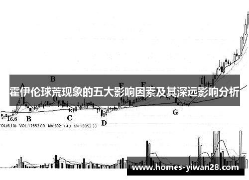 霍伊伦球荒现象的五大影响因素及其深远影响分析