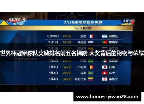 世界杯冠军球队奖励排名前五名揭晓 大奖背后的秘密与荣耀